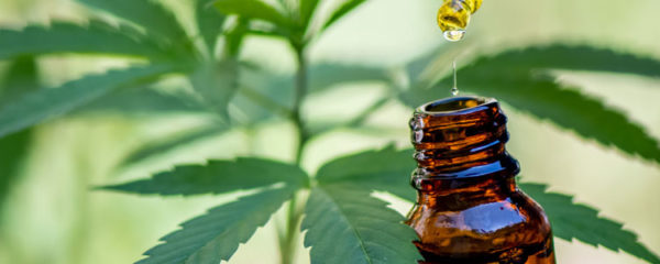 CBD
